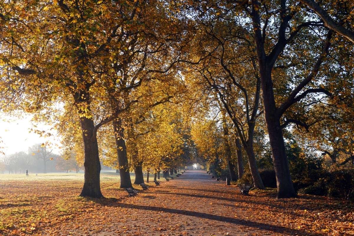 London Weather: A Comprehensive Guide | London Business World